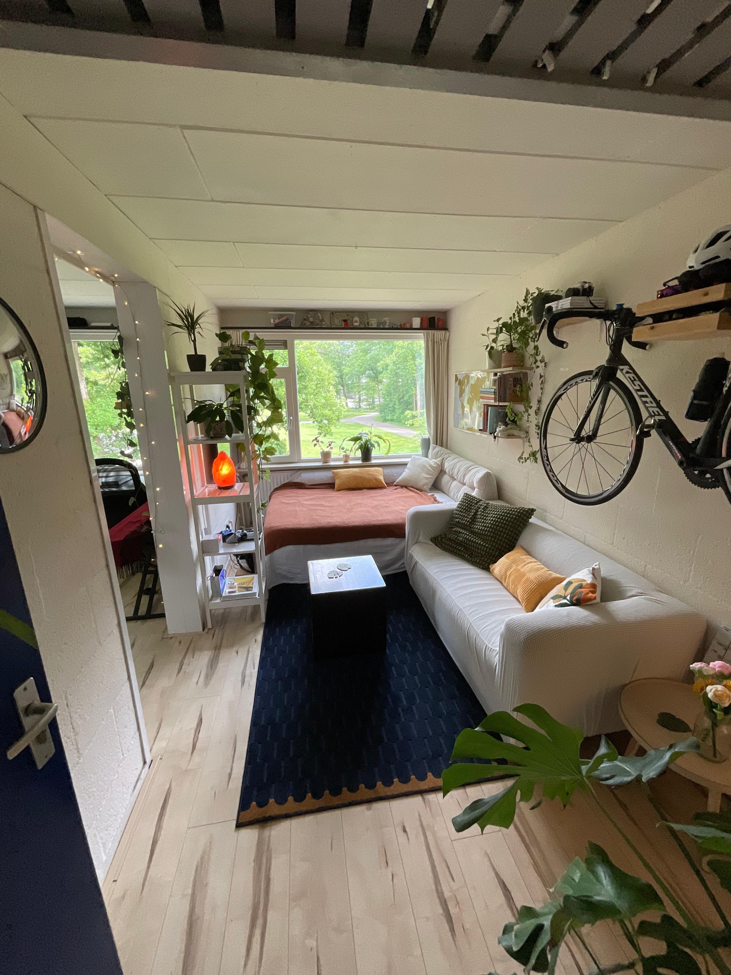 show all photos of Calslaan