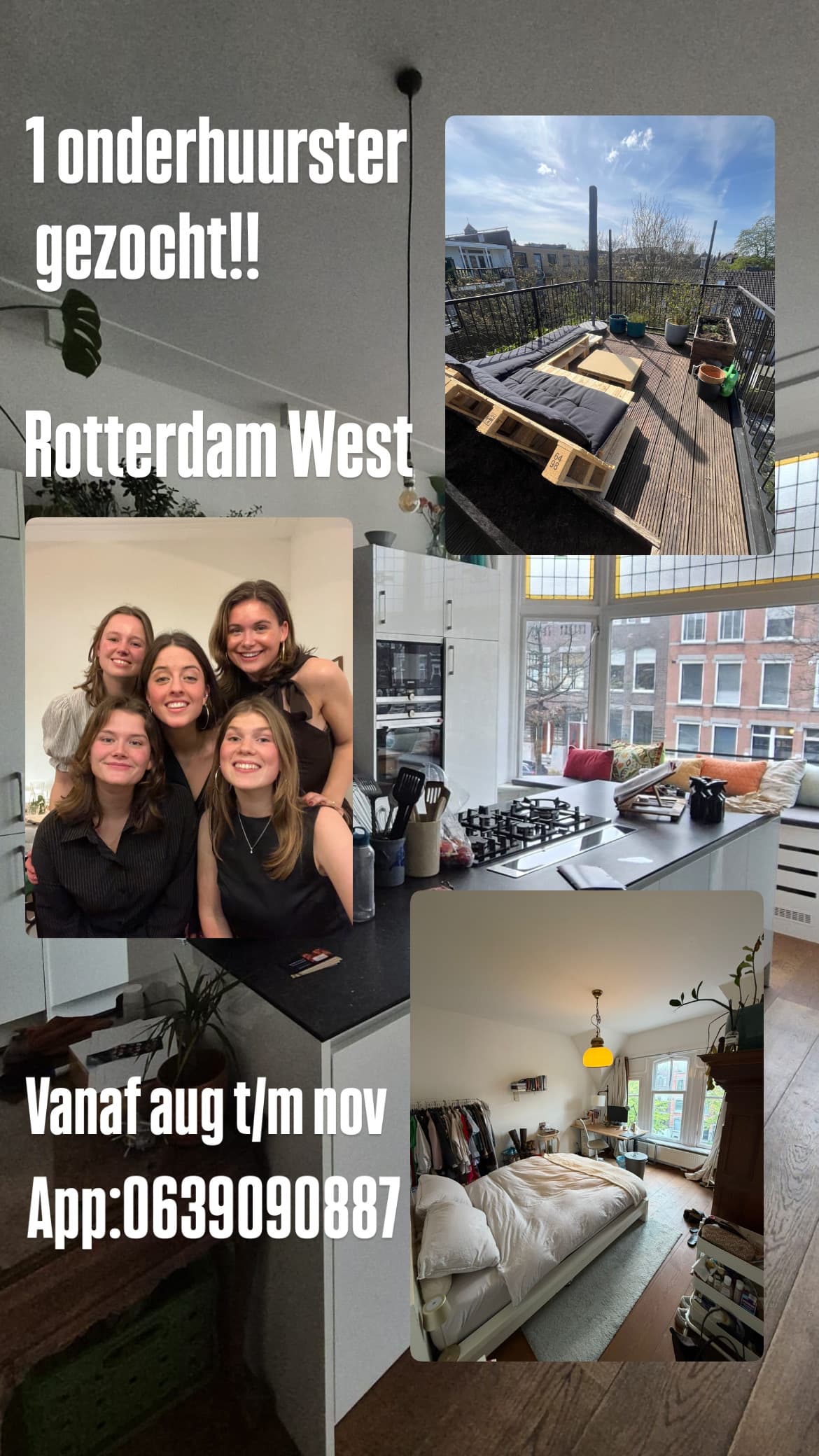 show all photos of Claes de Vrieselaan