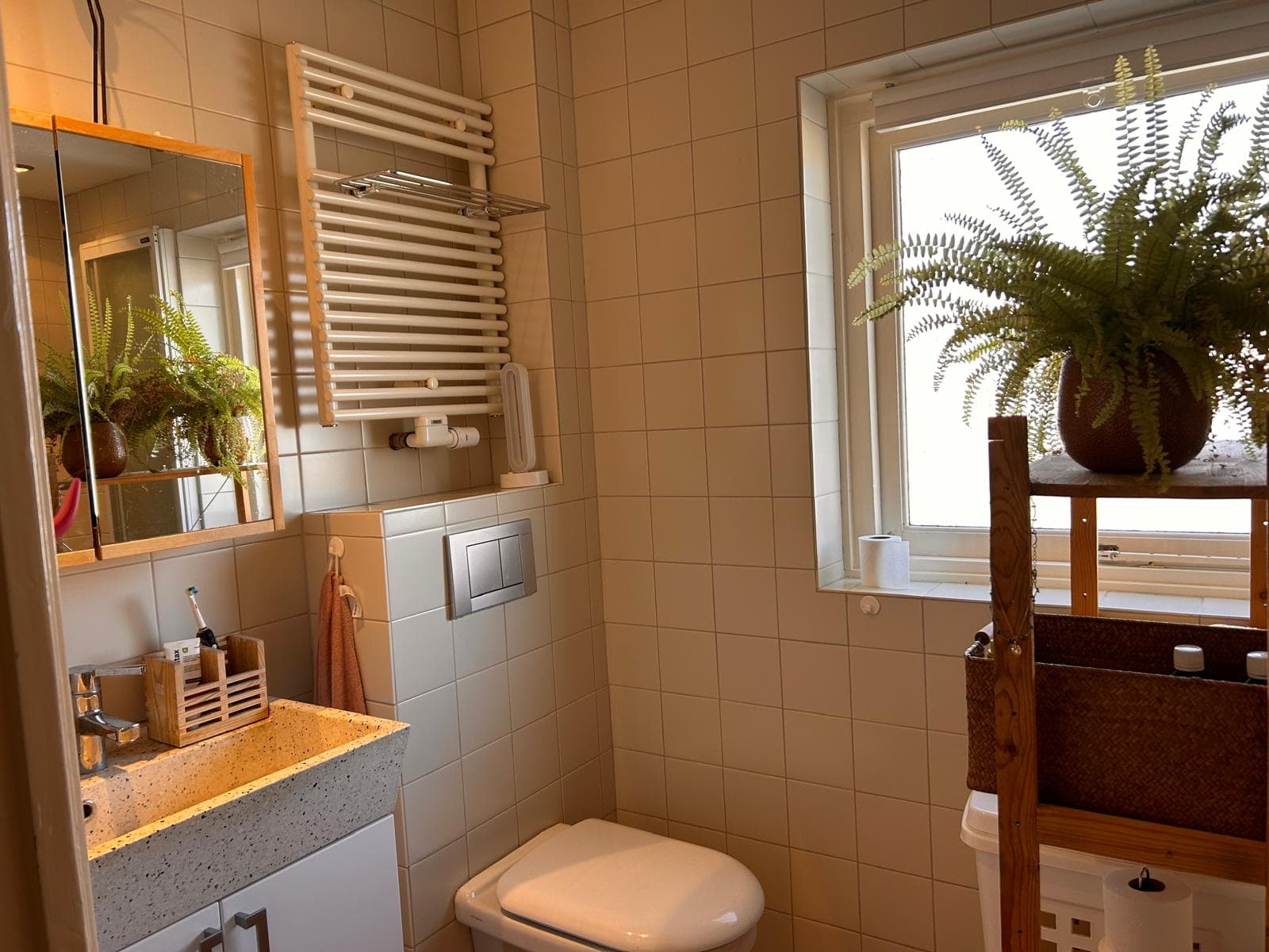 show all photos of Dr van den Brinkstraat