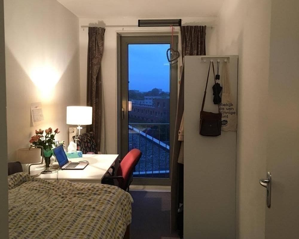 show all photos of Van Randwijcklaan