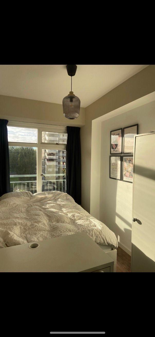 show all photos of Burgemeester Hogguerstraat