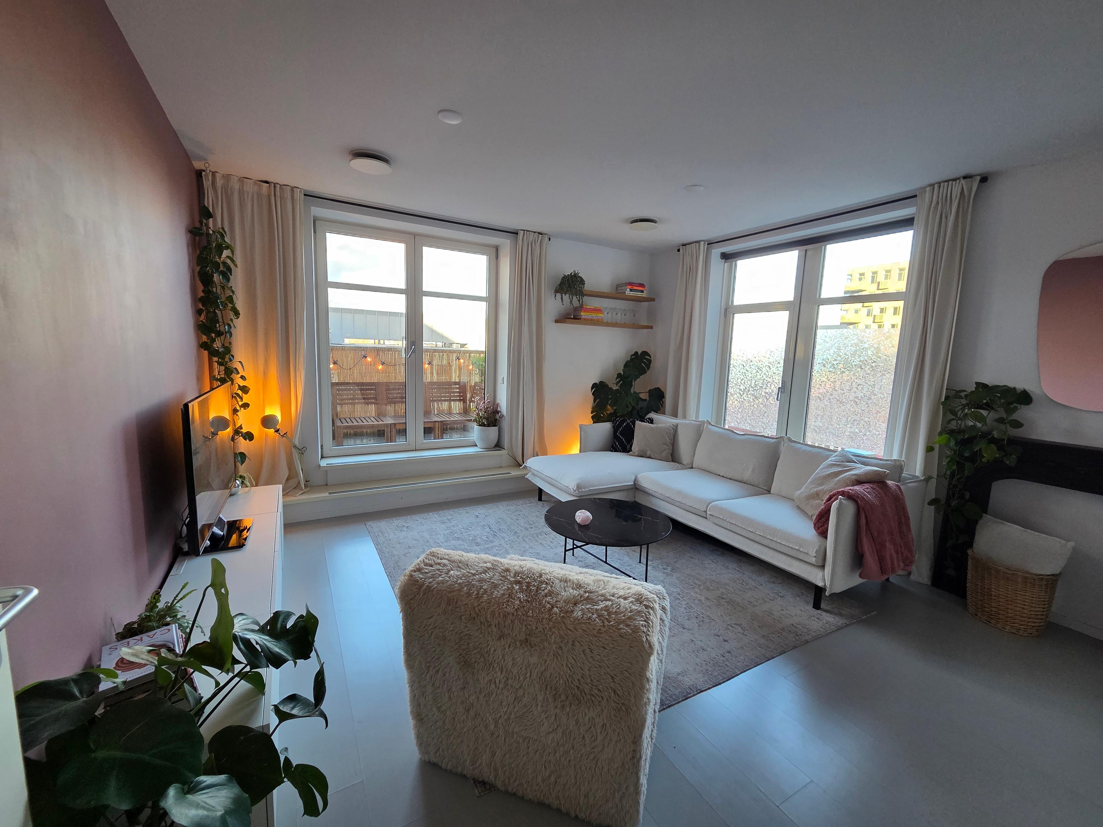 show all photos of Molenwerf