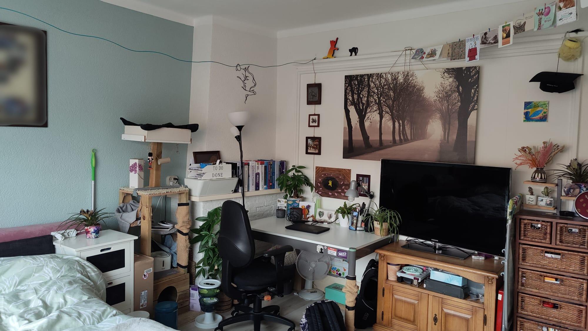 show all photos of Tubantiasingel