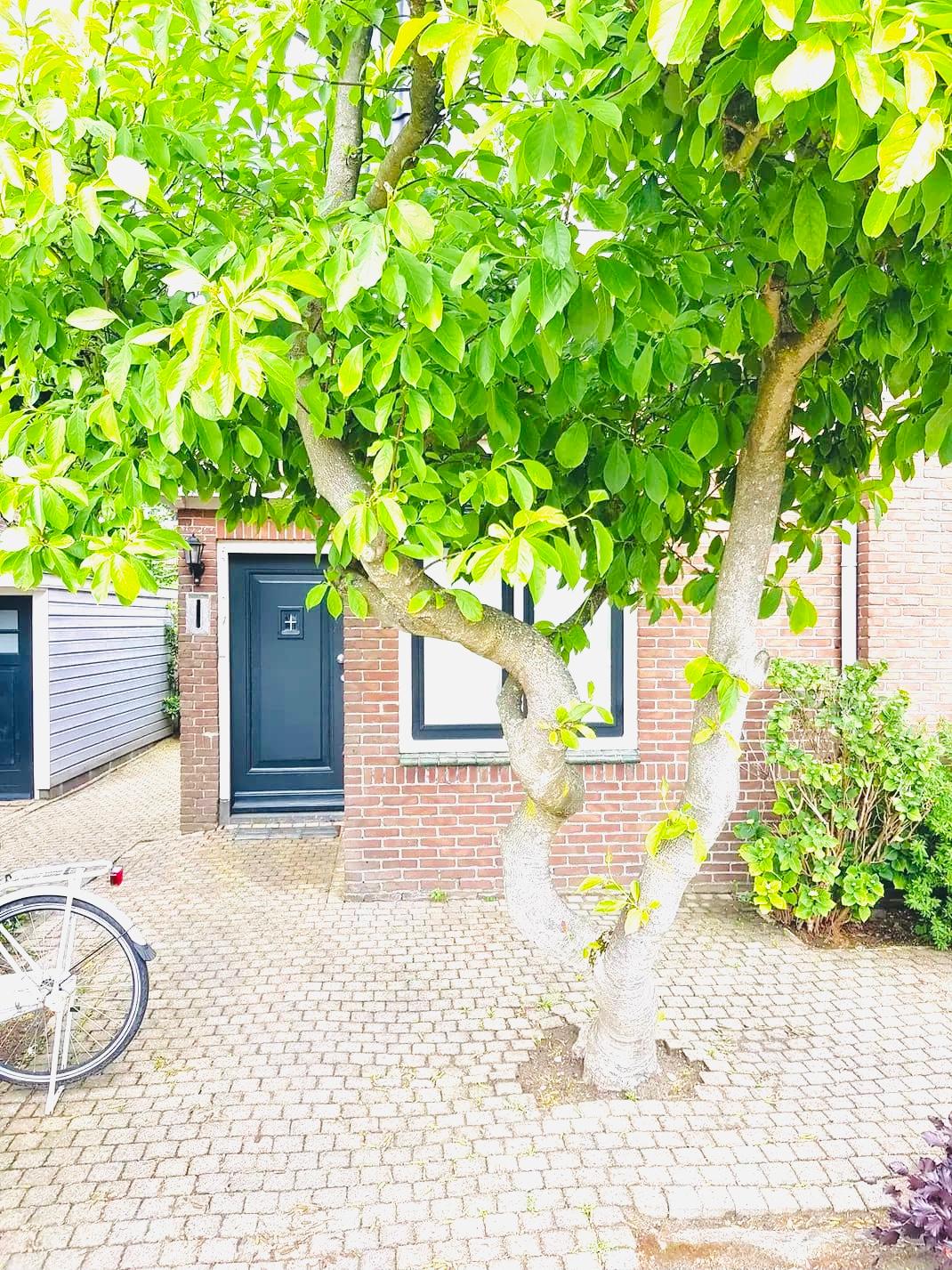 show all photos of Verspronckweg
