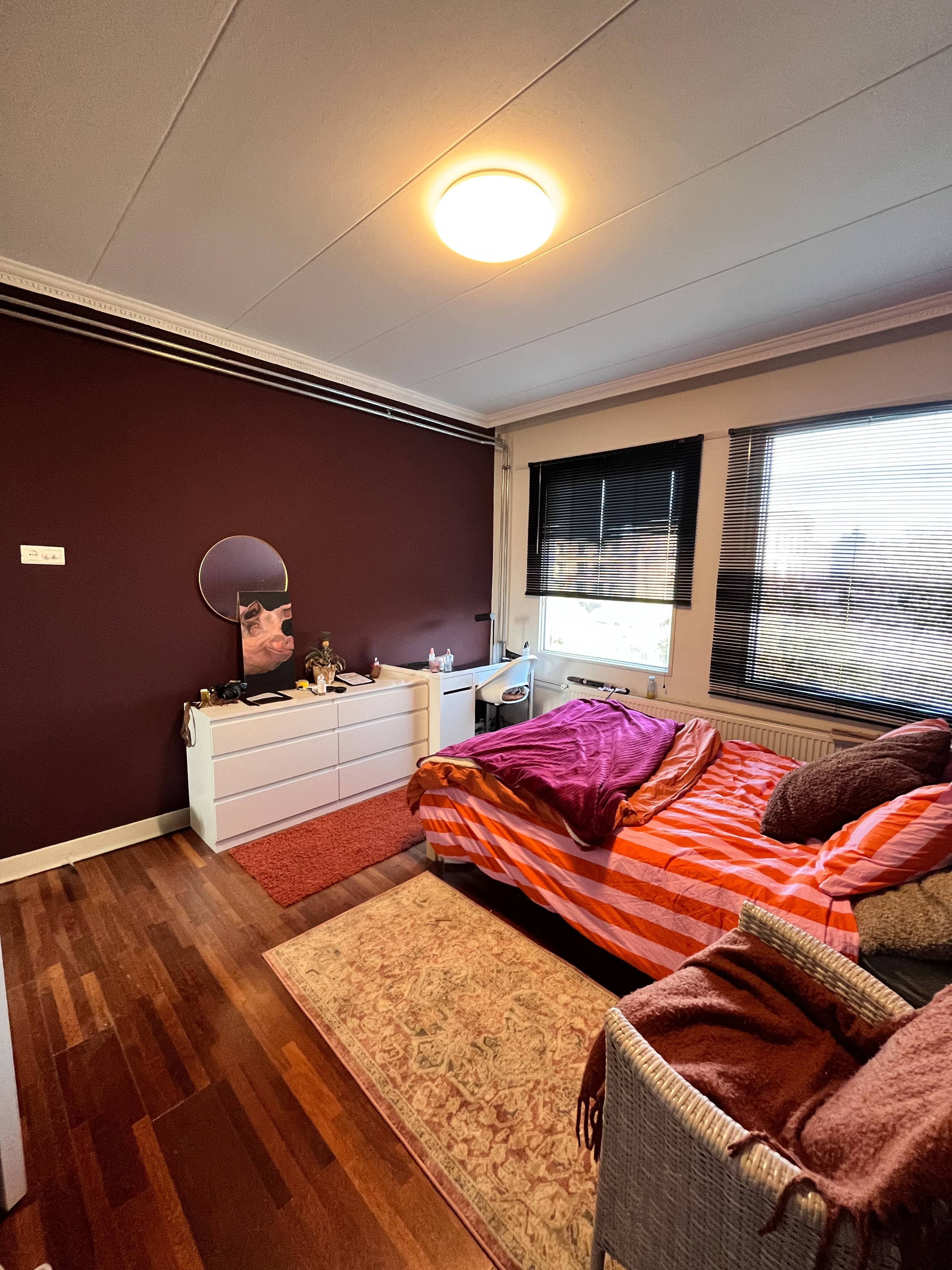 show all photos of Sinjeur Semeynsweg