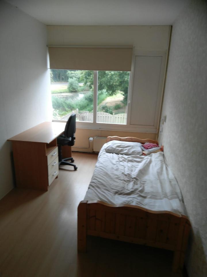 show all photos of Haarlebrink