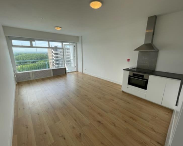 show all photos of Burgemeester Hogguerstraat