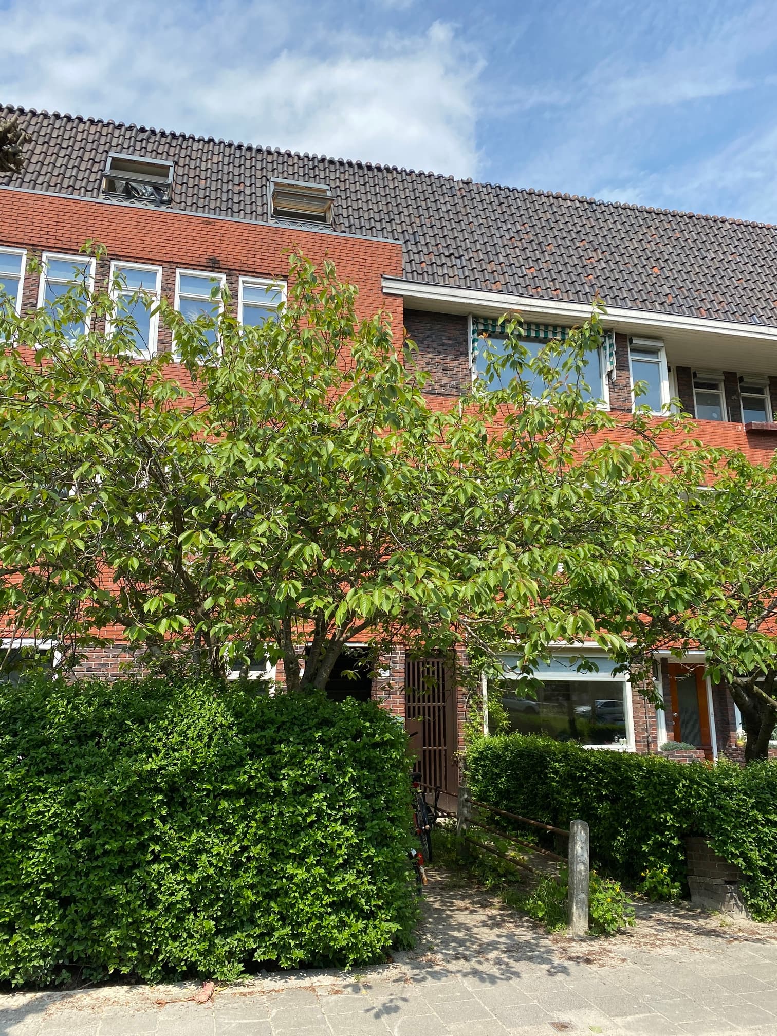 show all photos of Oosterhamrikkade