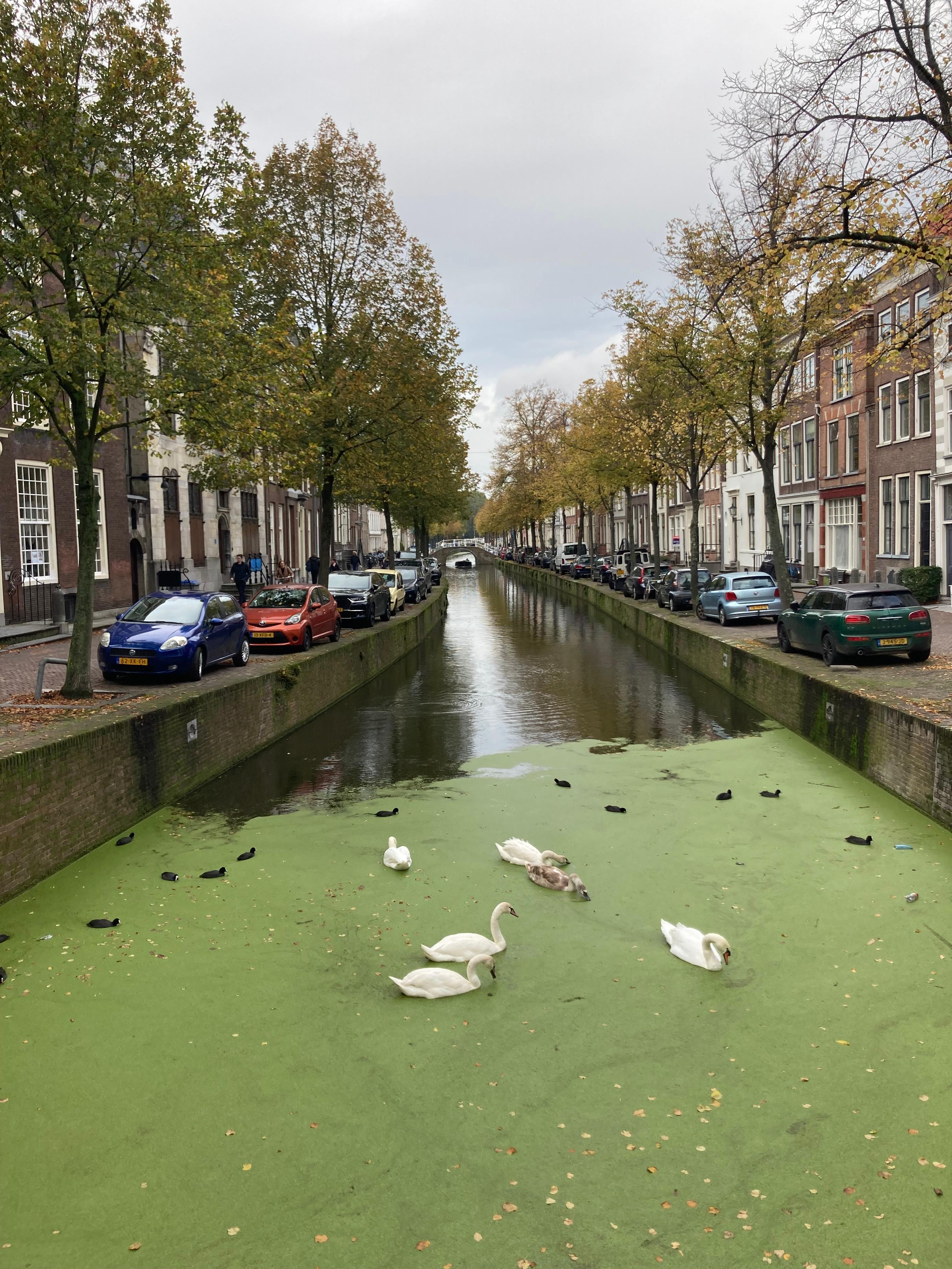 show all photos of Oude Delft