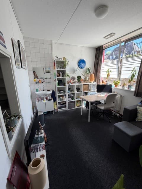 show all photos of van Peltlaan