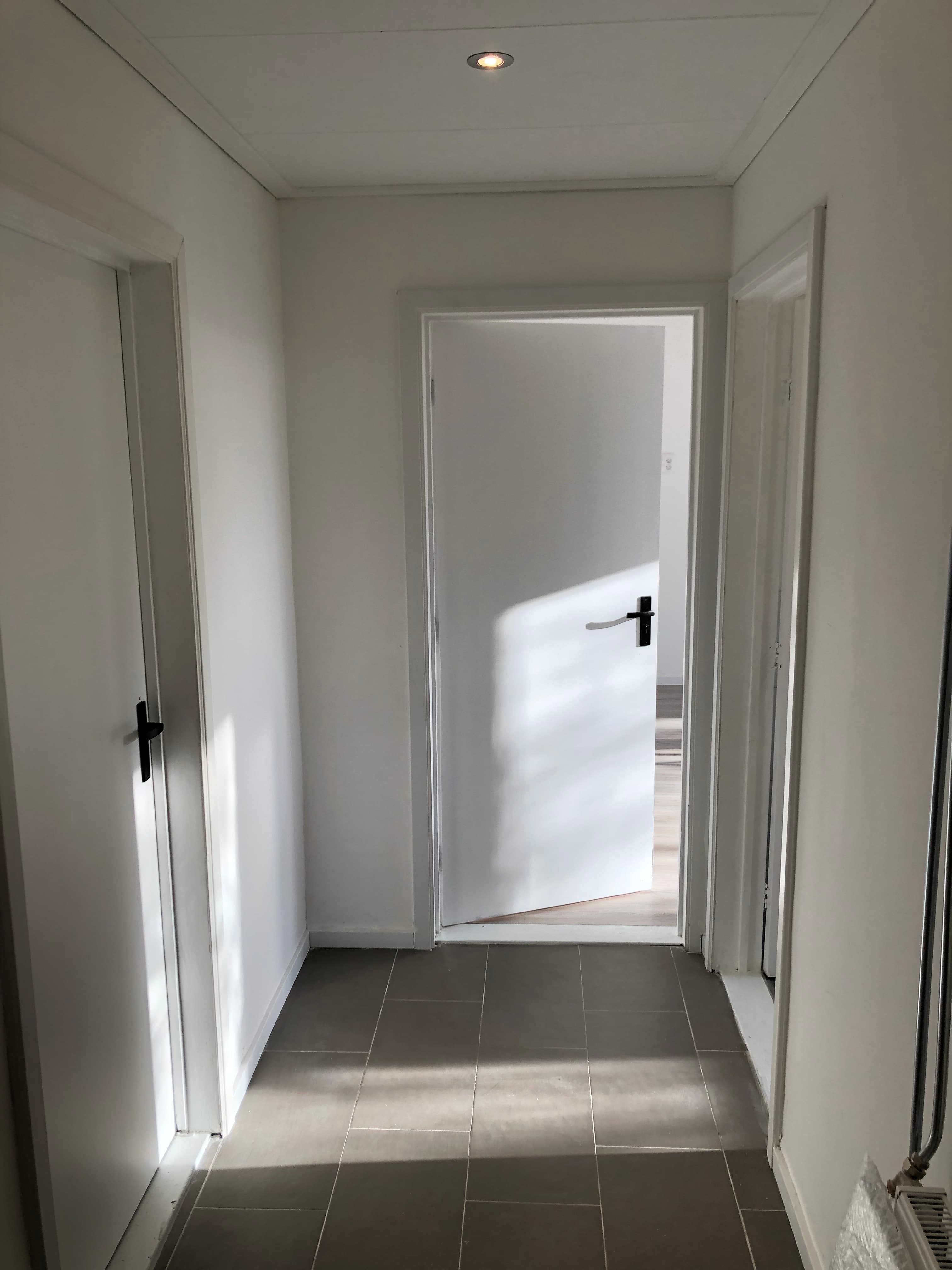 show all photos of Dierenriemstraat