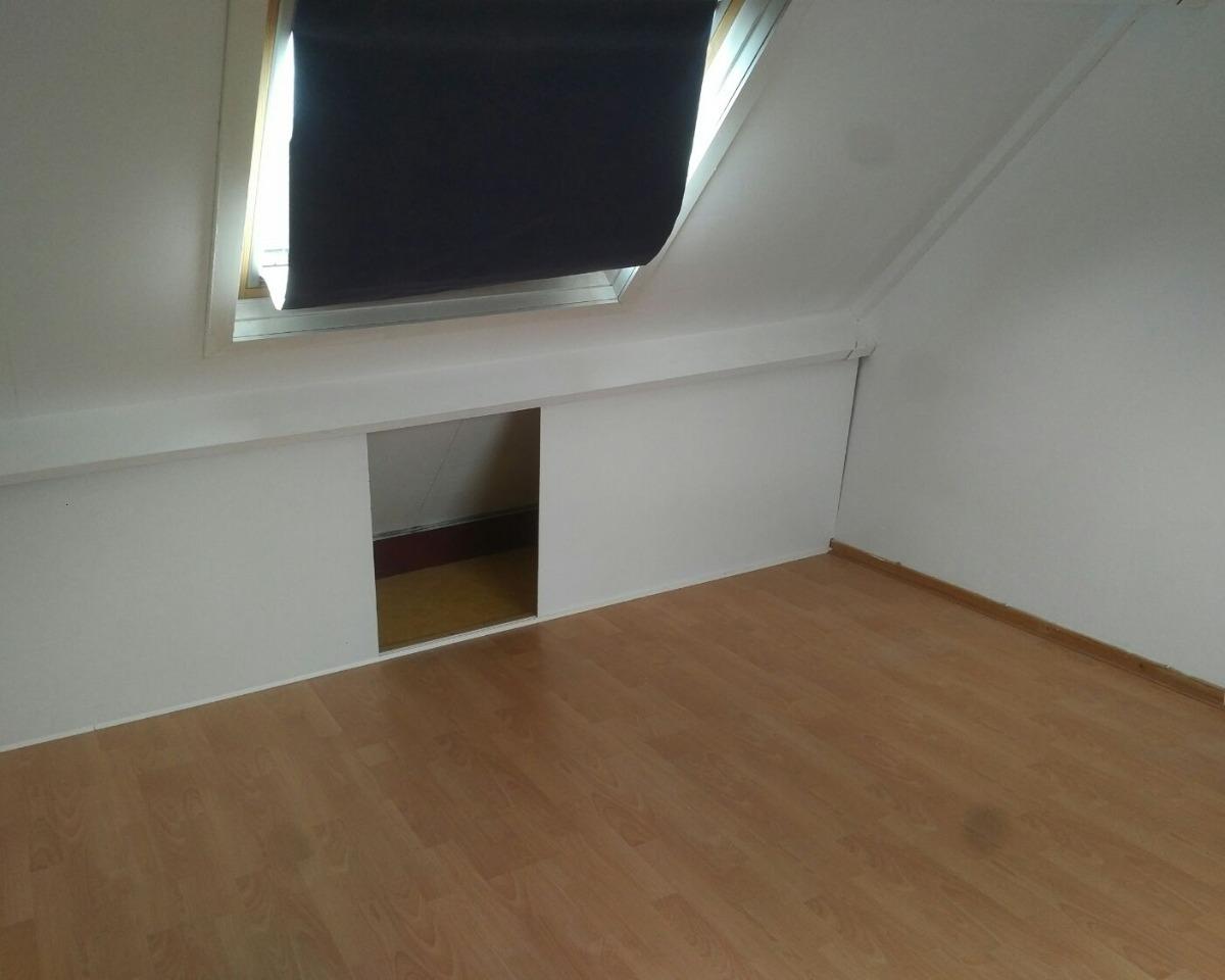 show all photos of Havikskruid