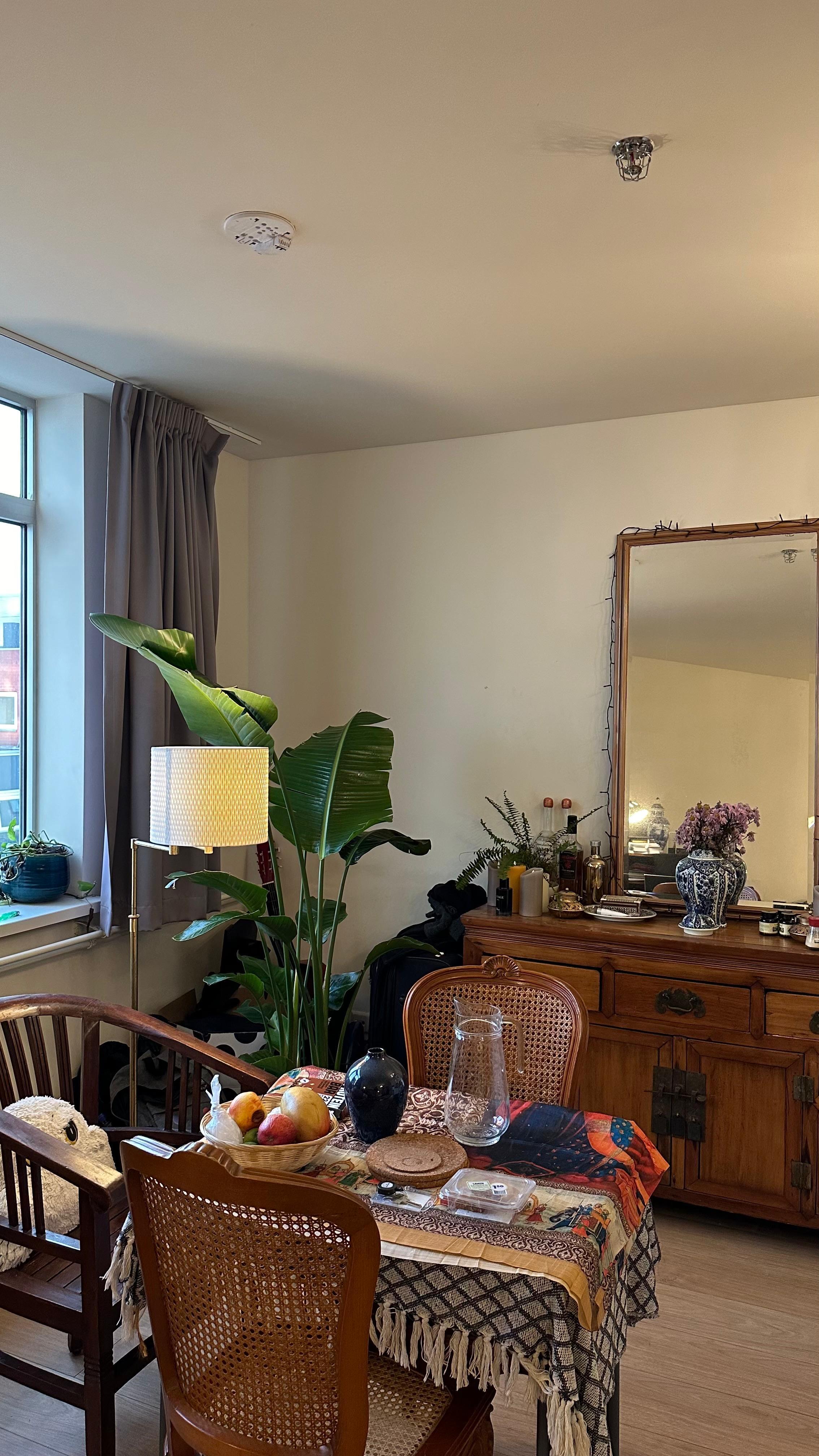 show all photos of Schipholweg