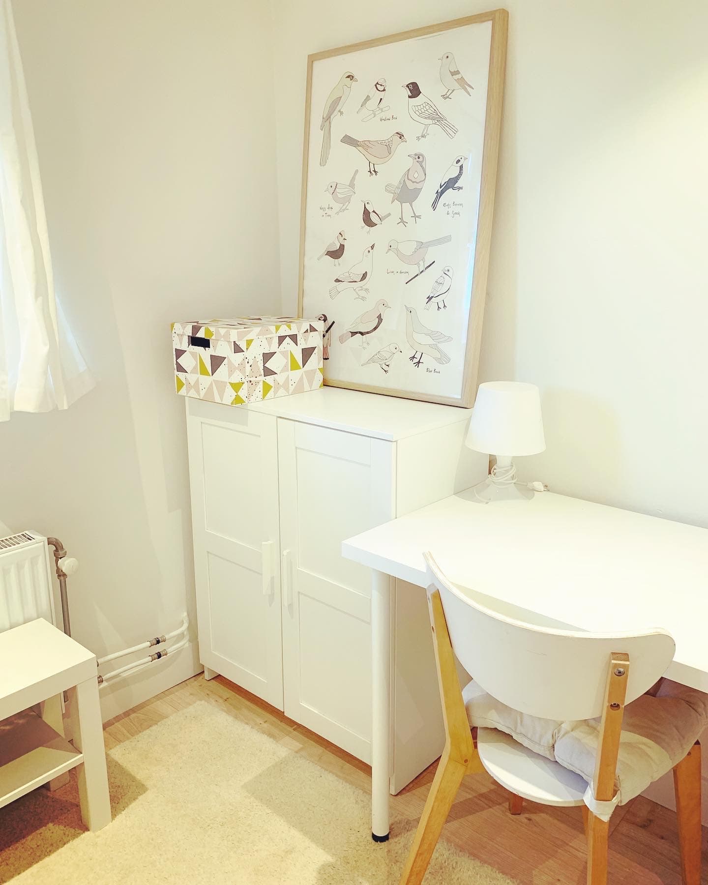 show all photos of Van Hallstraat