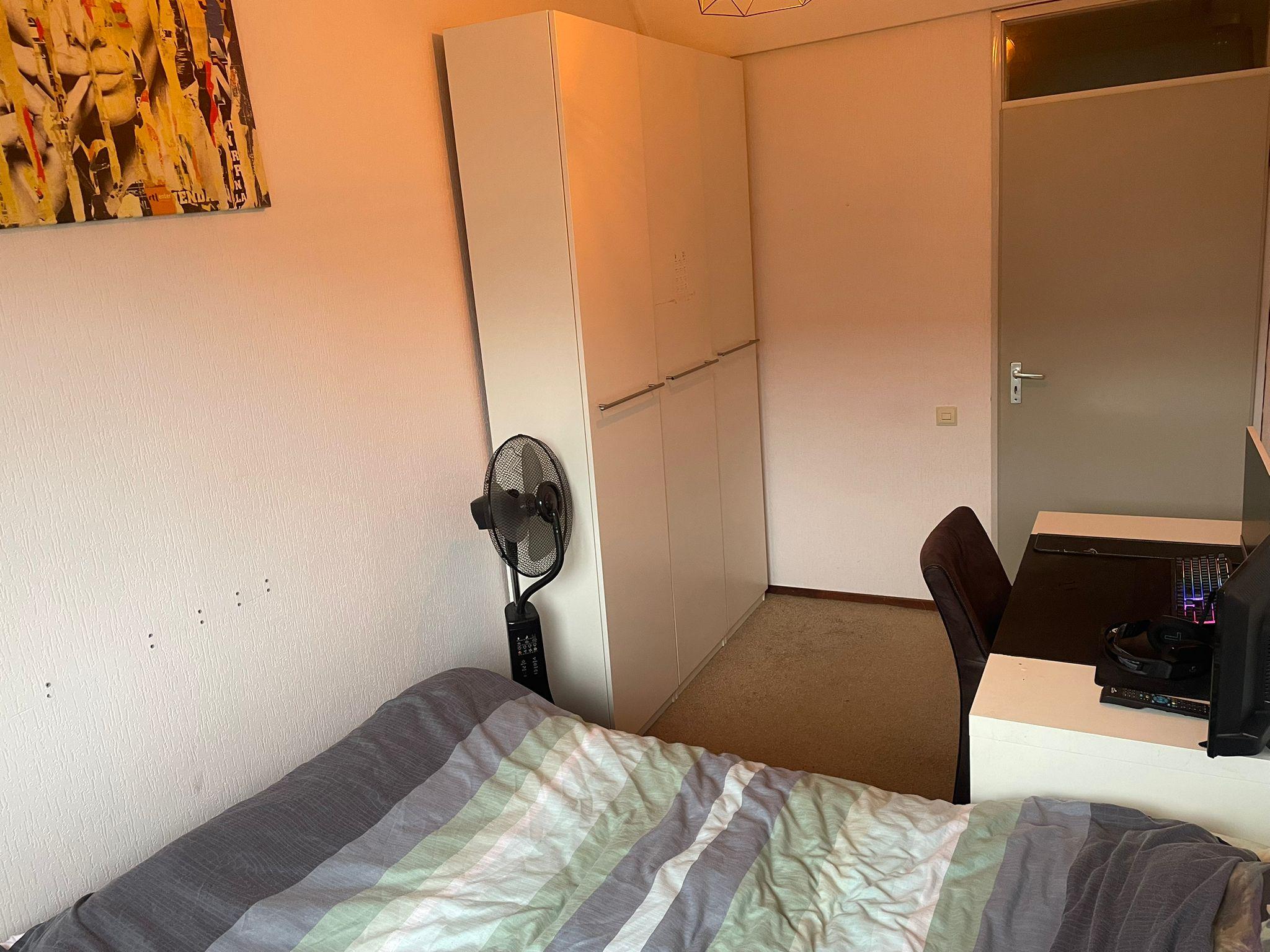 show all photos of Iepentakvlinder