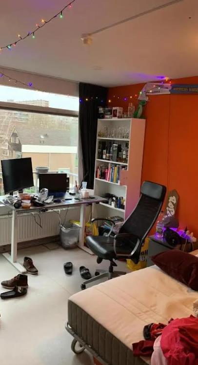 show all photos of Aart van der Leeuwlaan