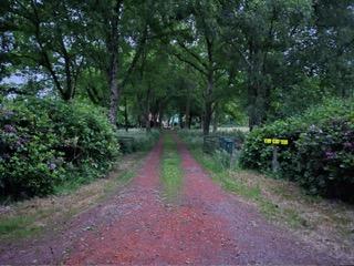 show all photos of Oudeweg