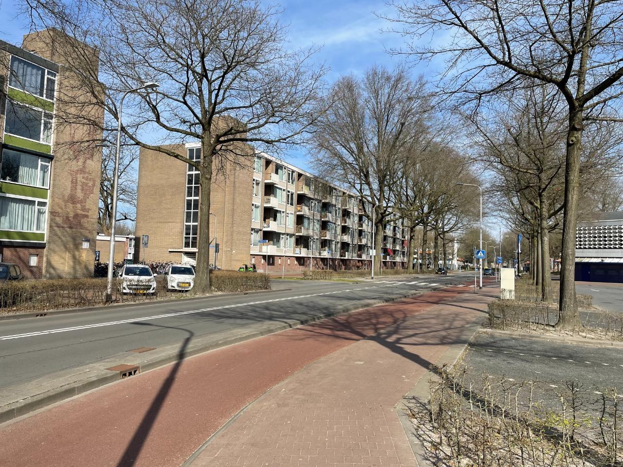 show all photos of Statenlaan