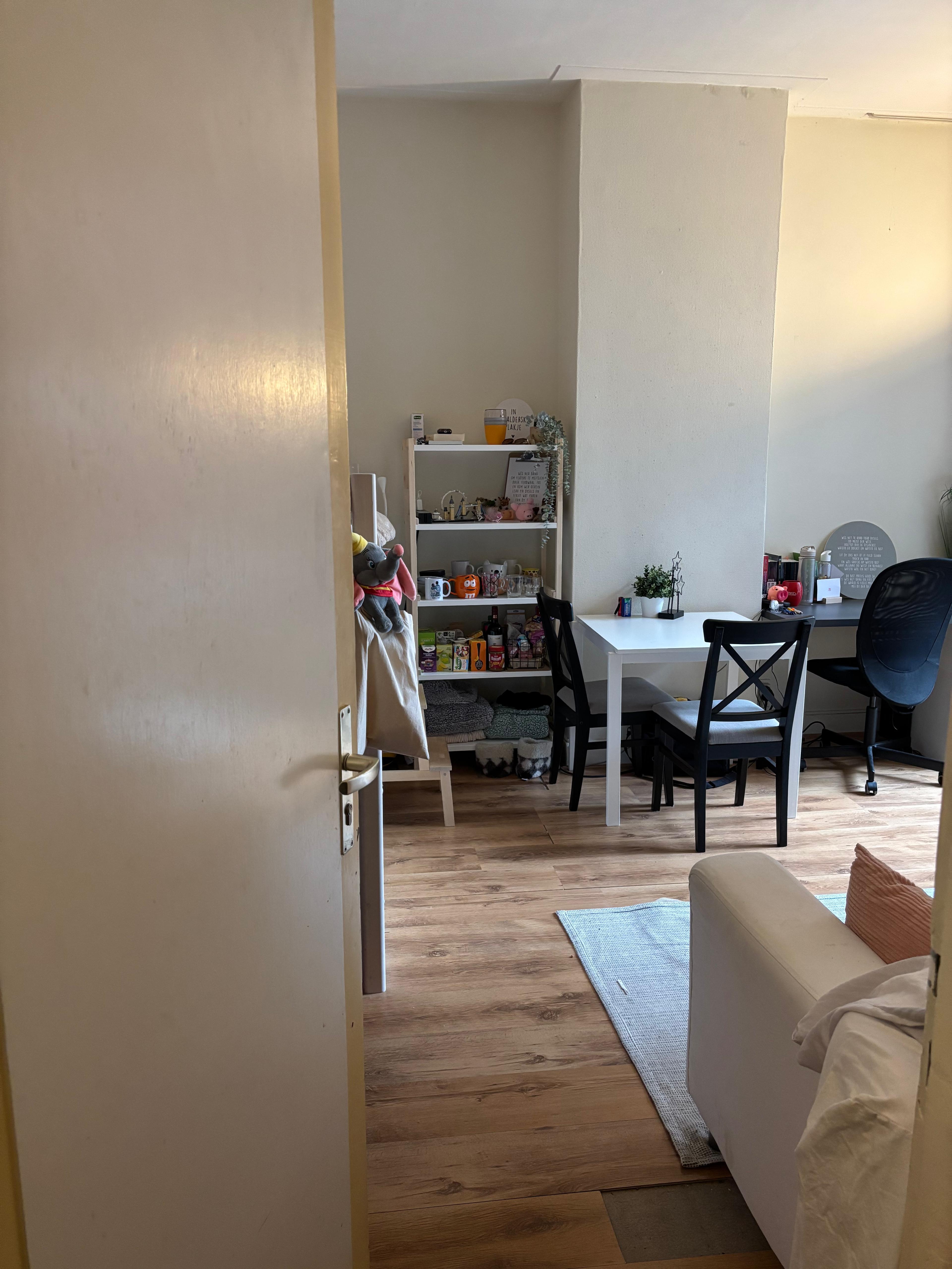 show all photos of Nassaulaan