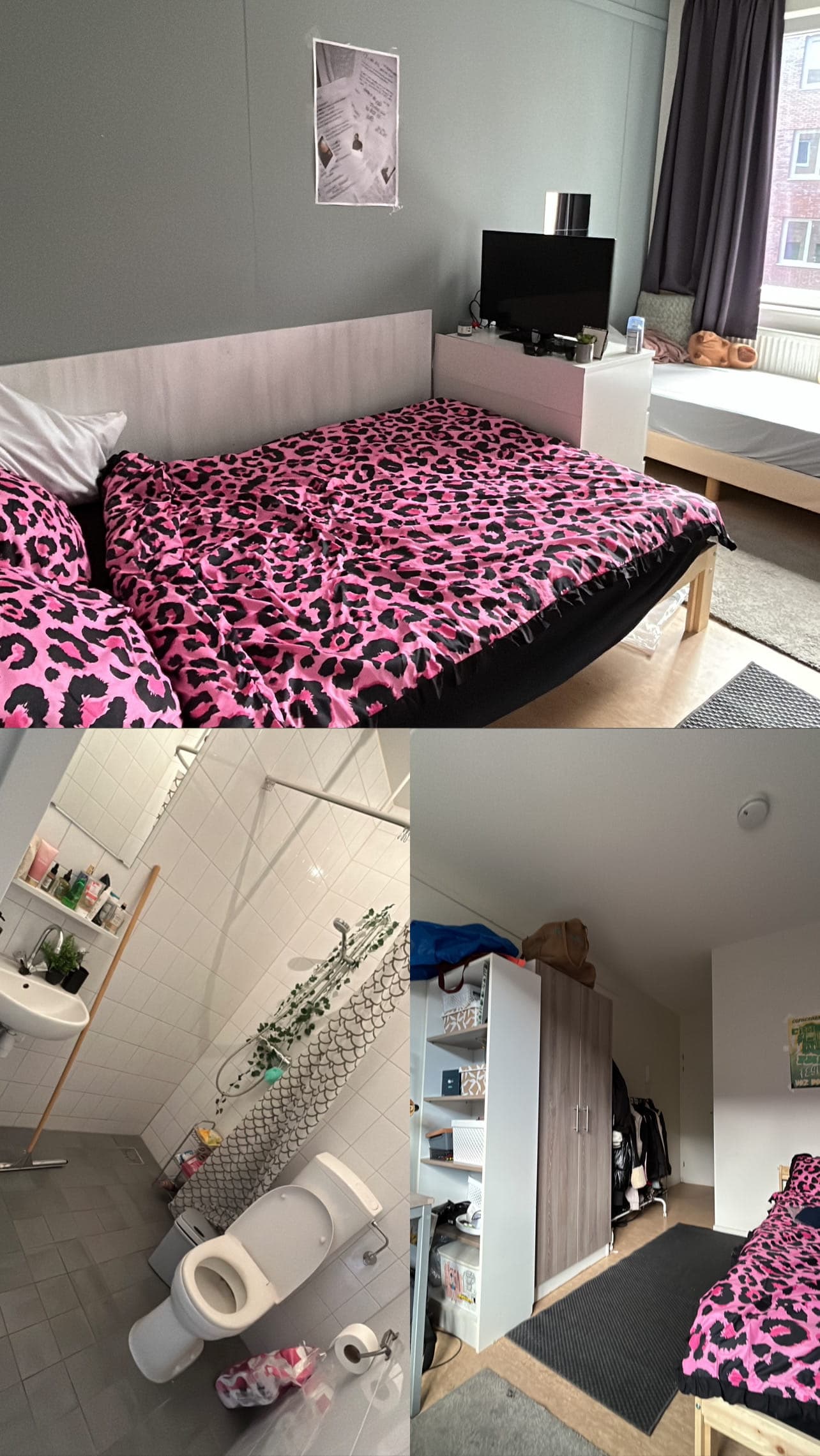 show all photos of Antaresstraat