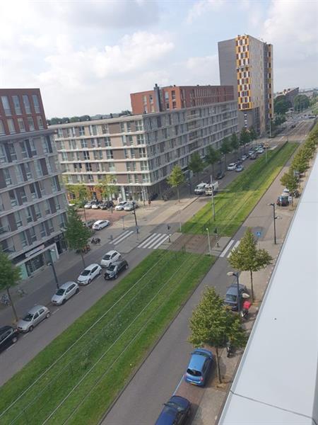 show all photos of Pieter Calandlaan