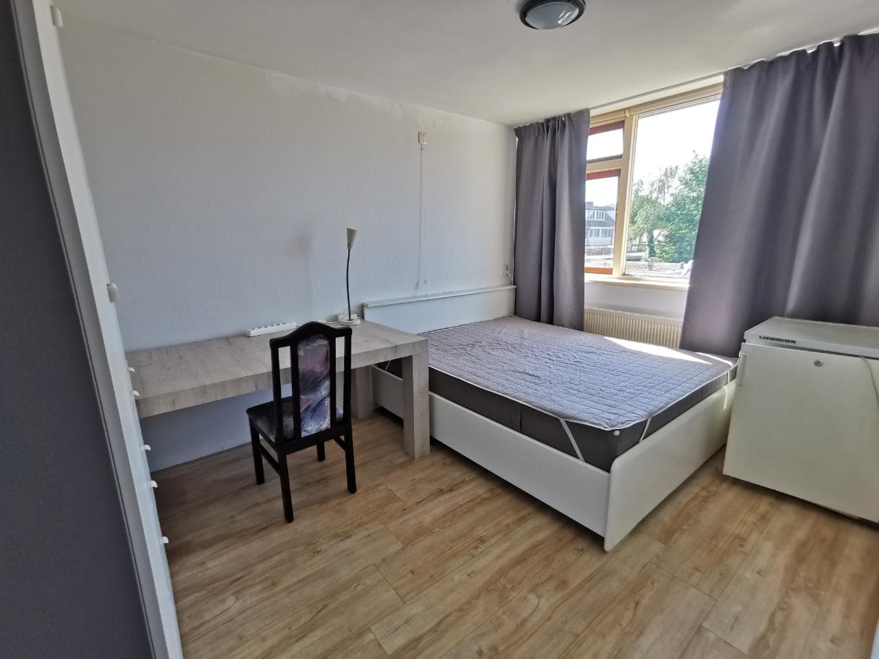 show all photos of Kwartelstraat