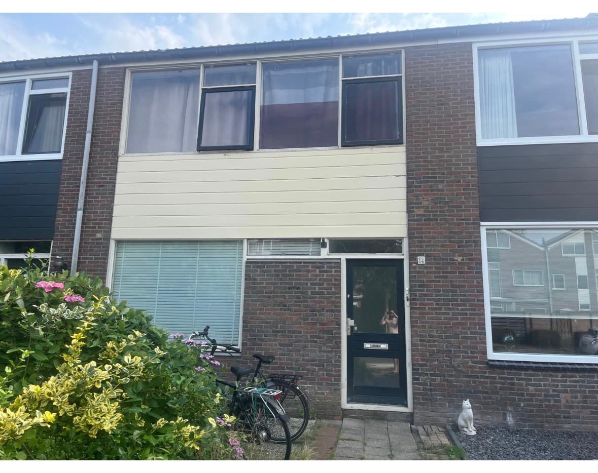 show all photos of Holwortel