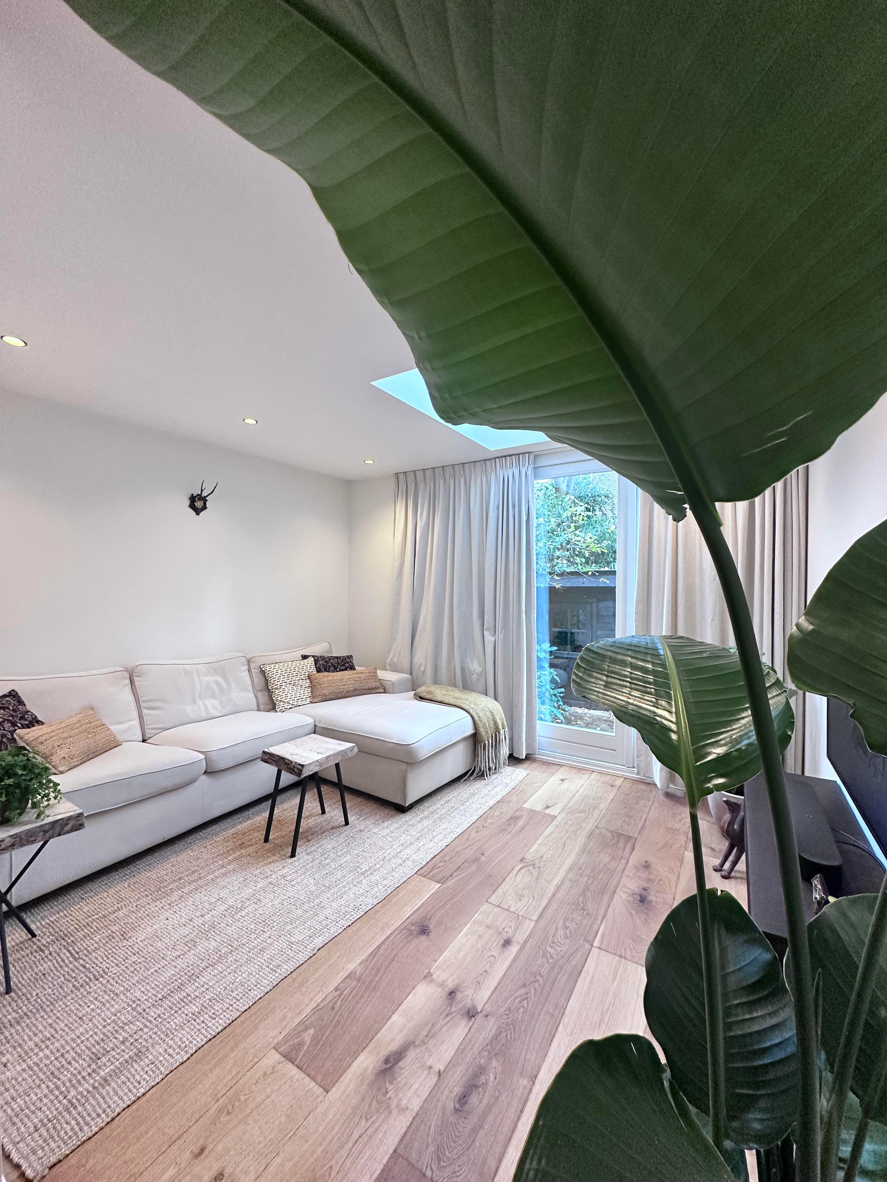 show all photos of Pieter Aertszstraat