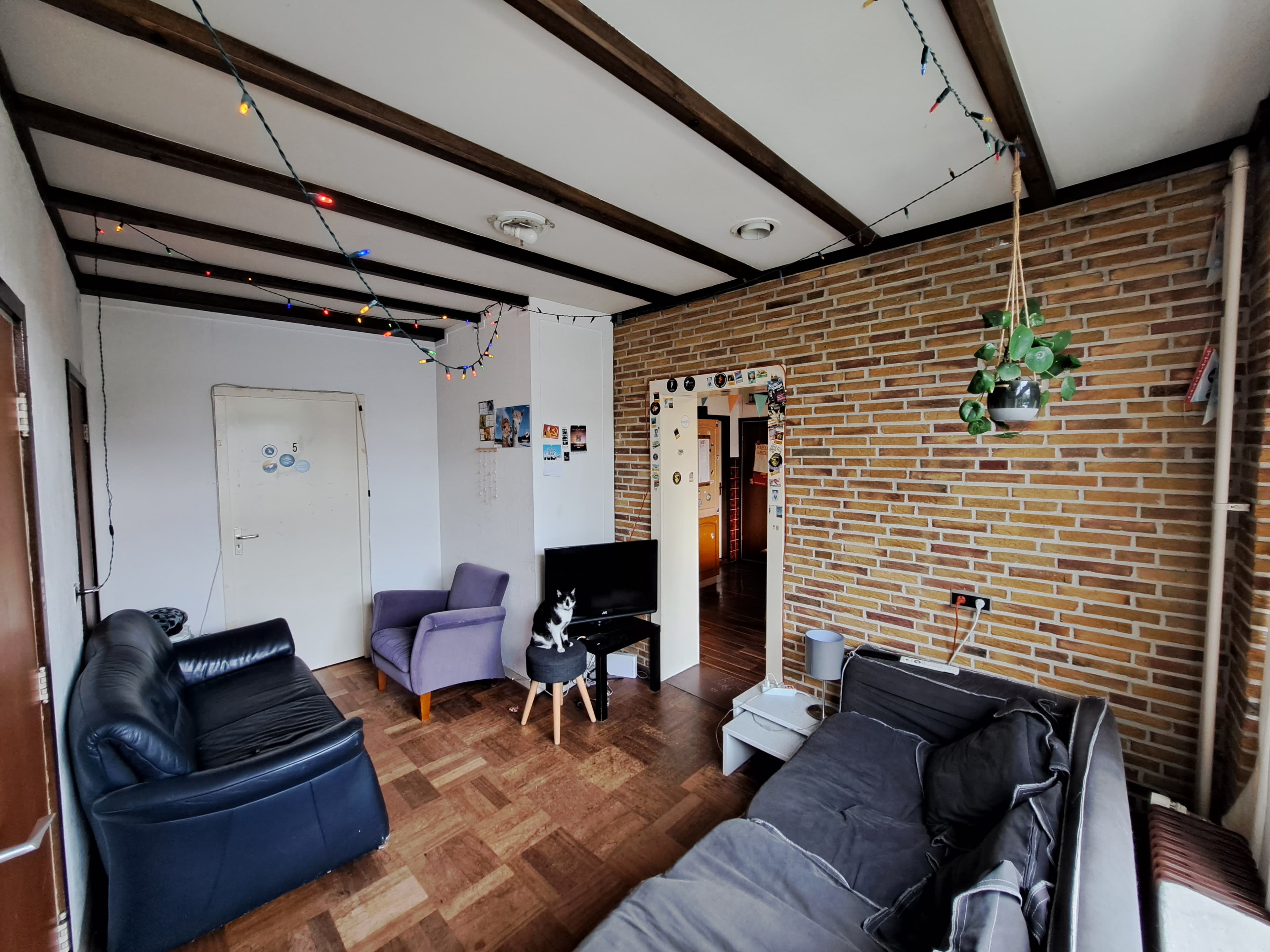 show all photos of Deurningerstraat