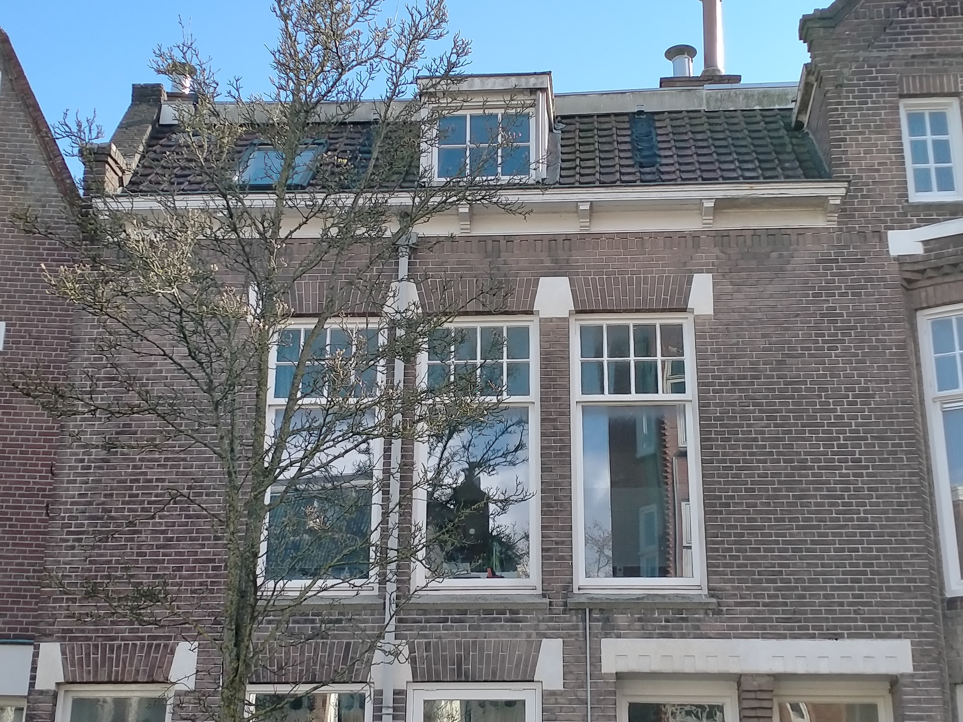 show all photos of Helper Oostsingel