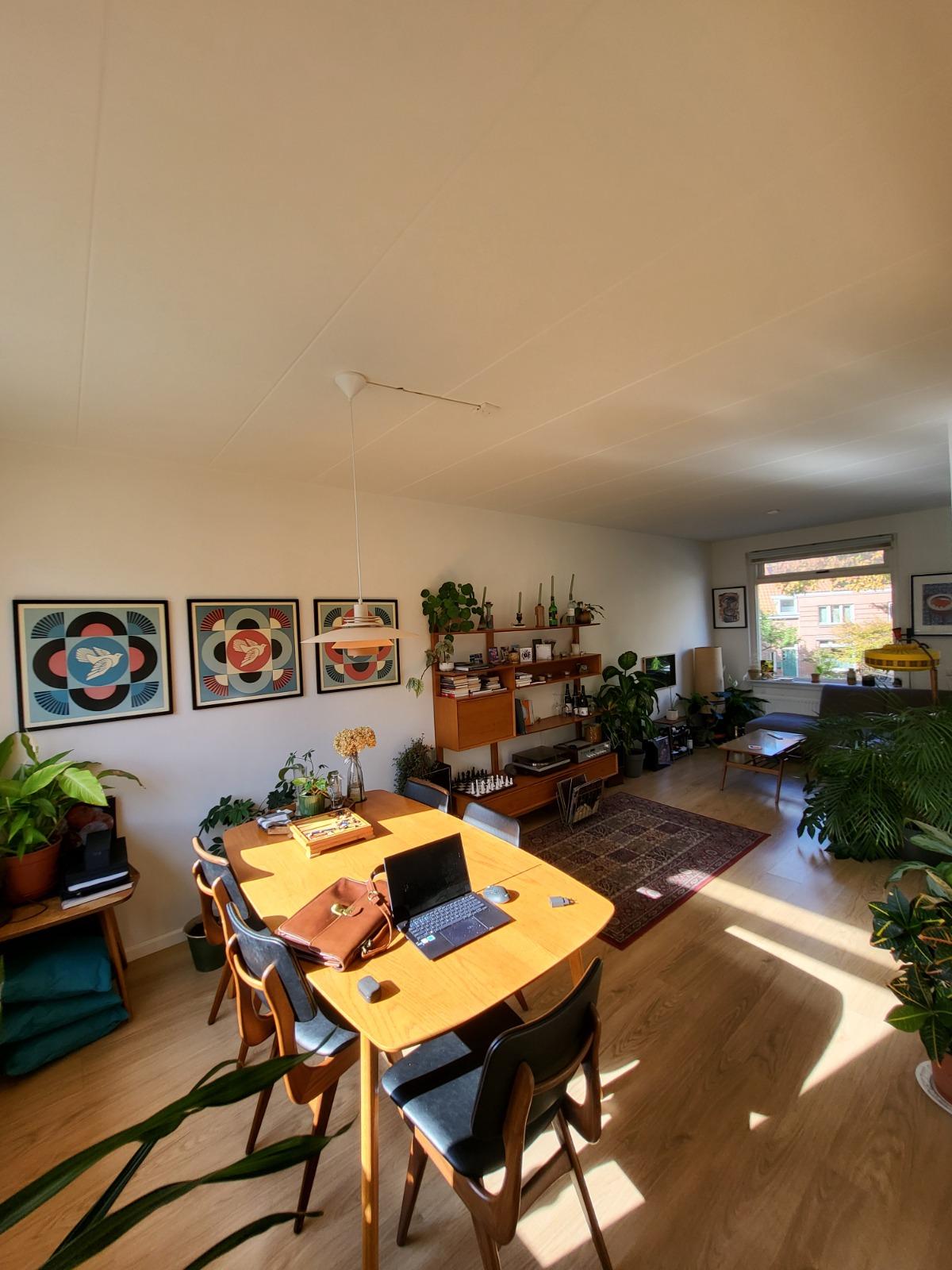 show all photos of Gladiolenstraat