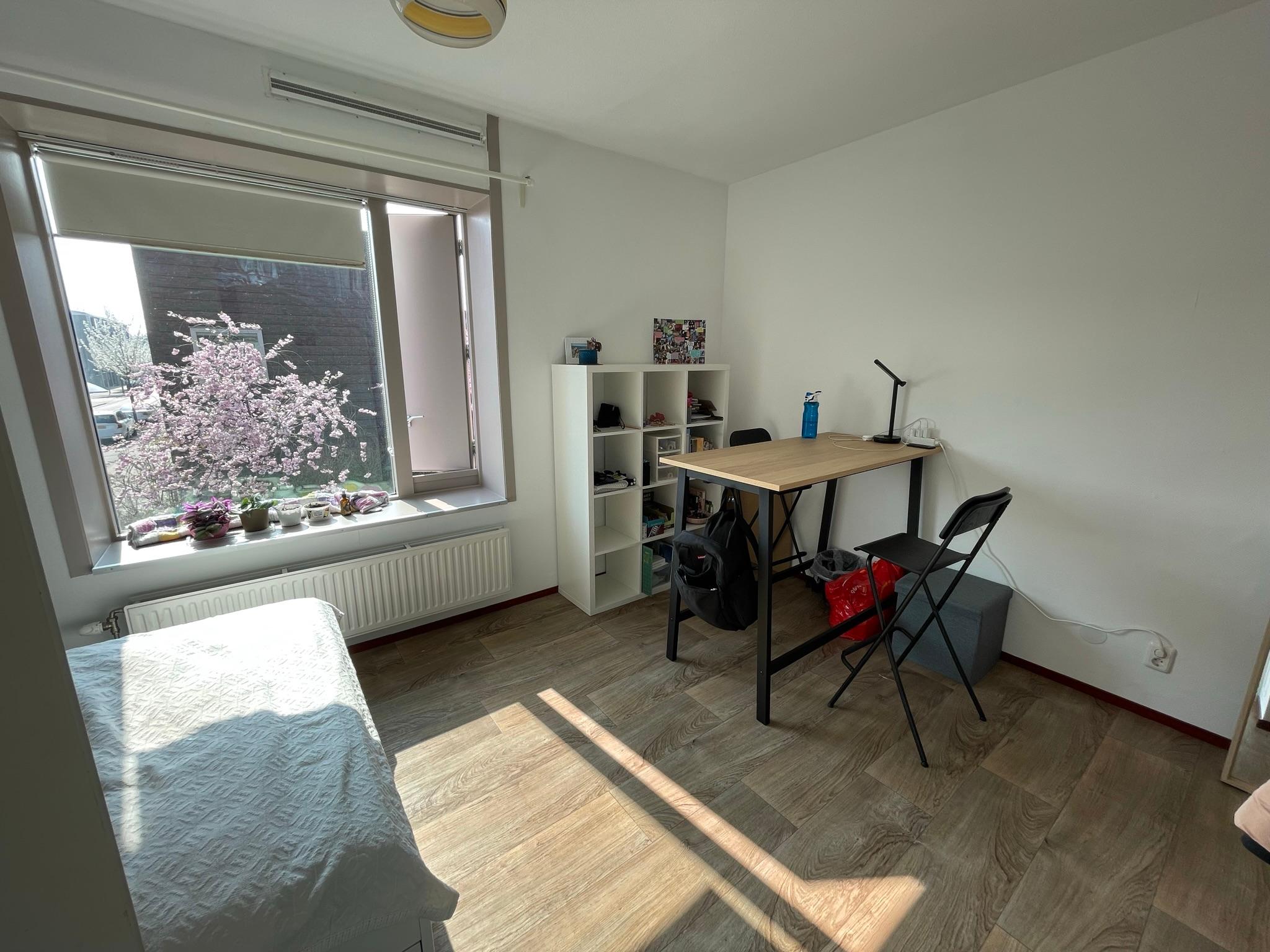 show all photos of Troelstralaan