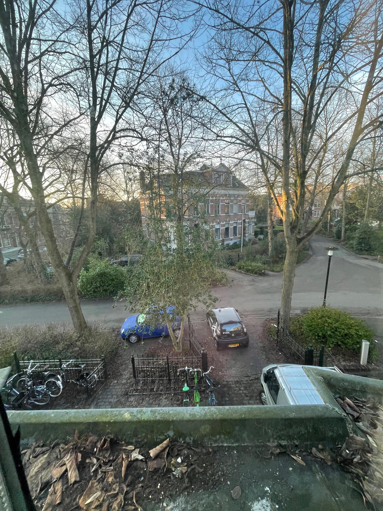 show all photos of Zuiderpark