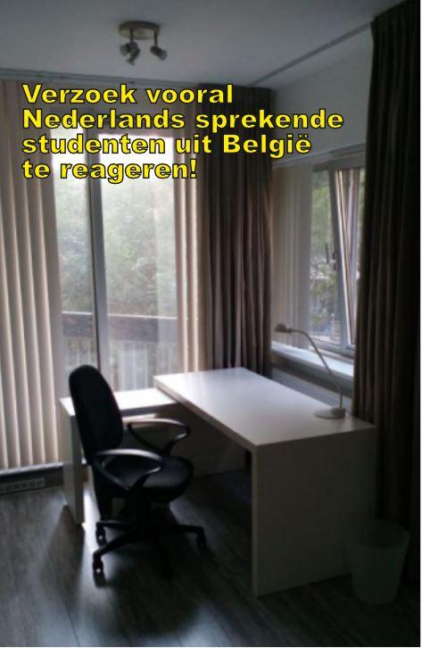 show all photos of Gouden Leeuw