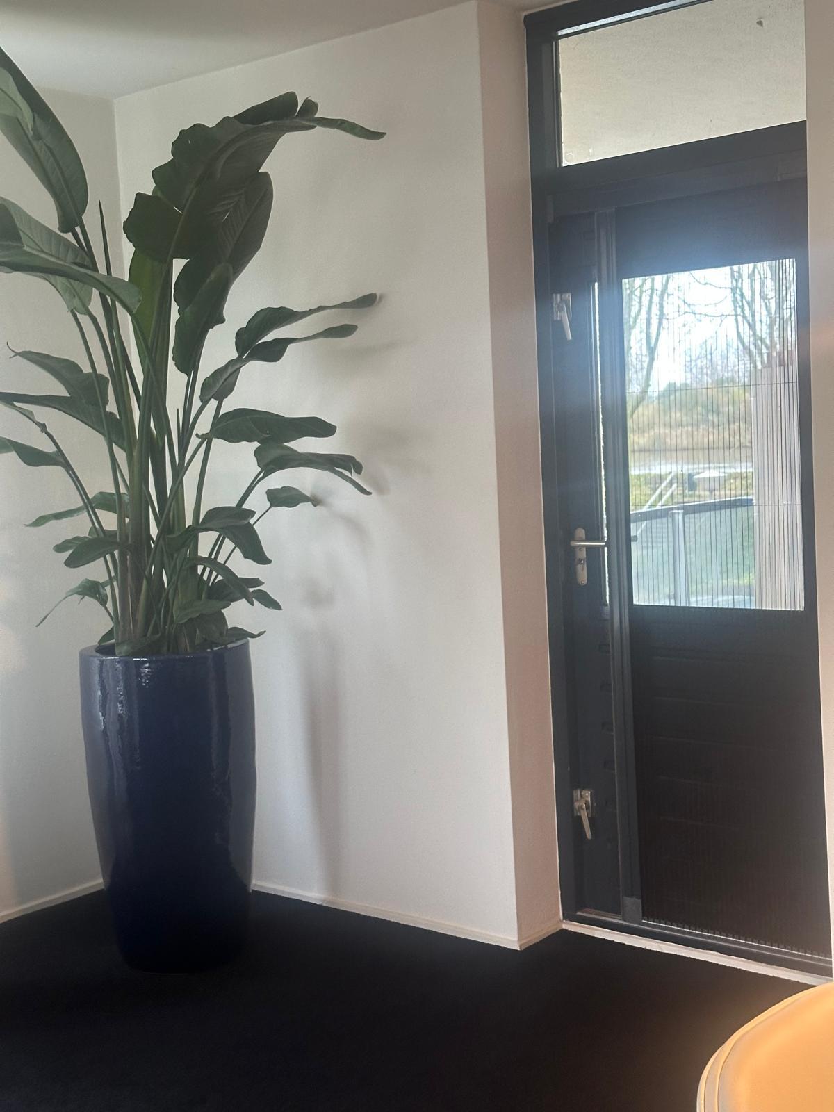 show all photos of Meerkoet