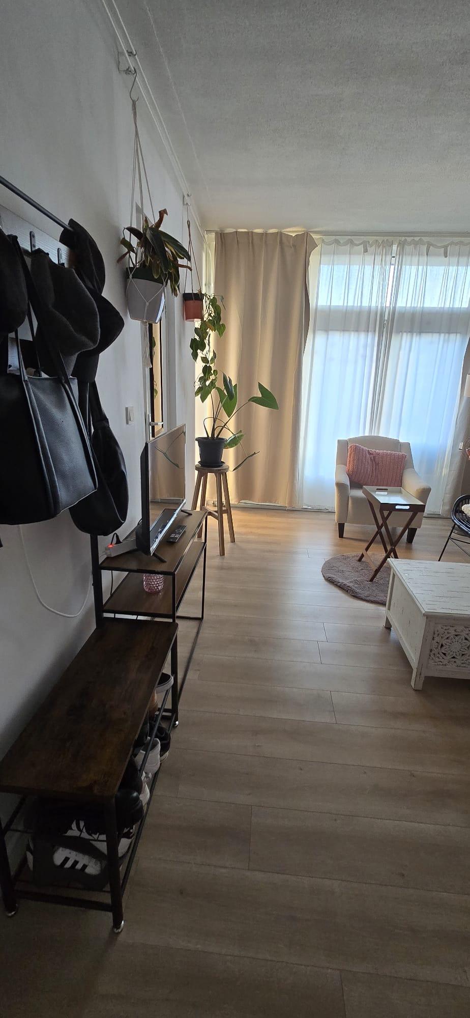 show all photos of Pleinweg