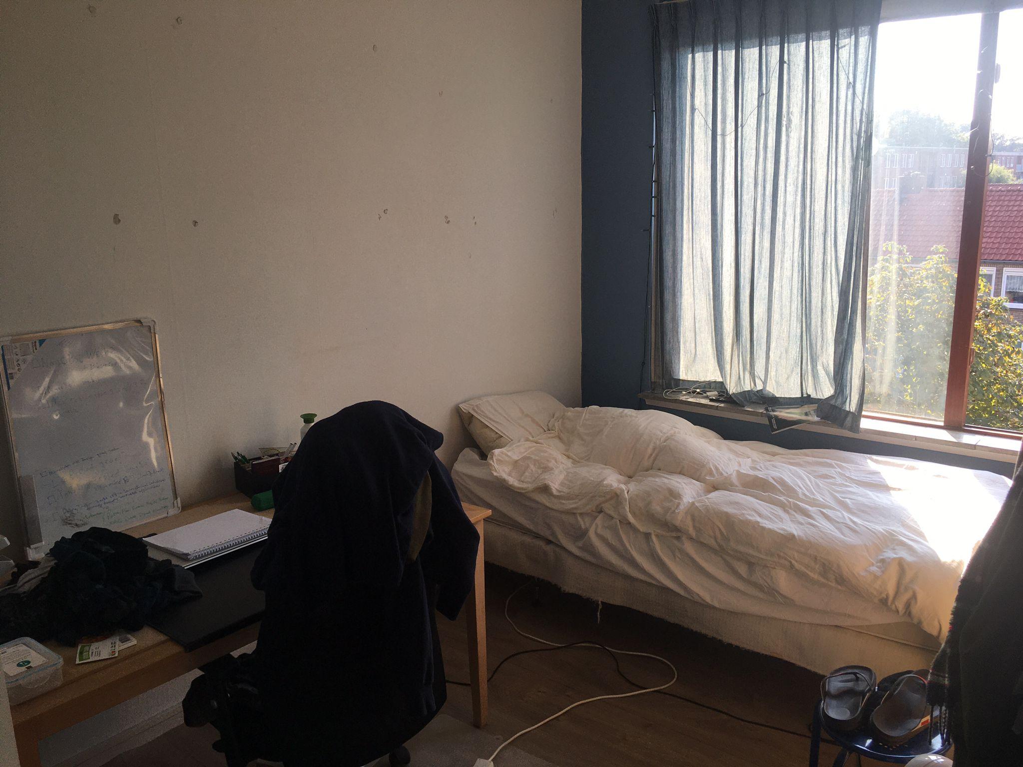 show all photos of Nicolaas Maesstraat