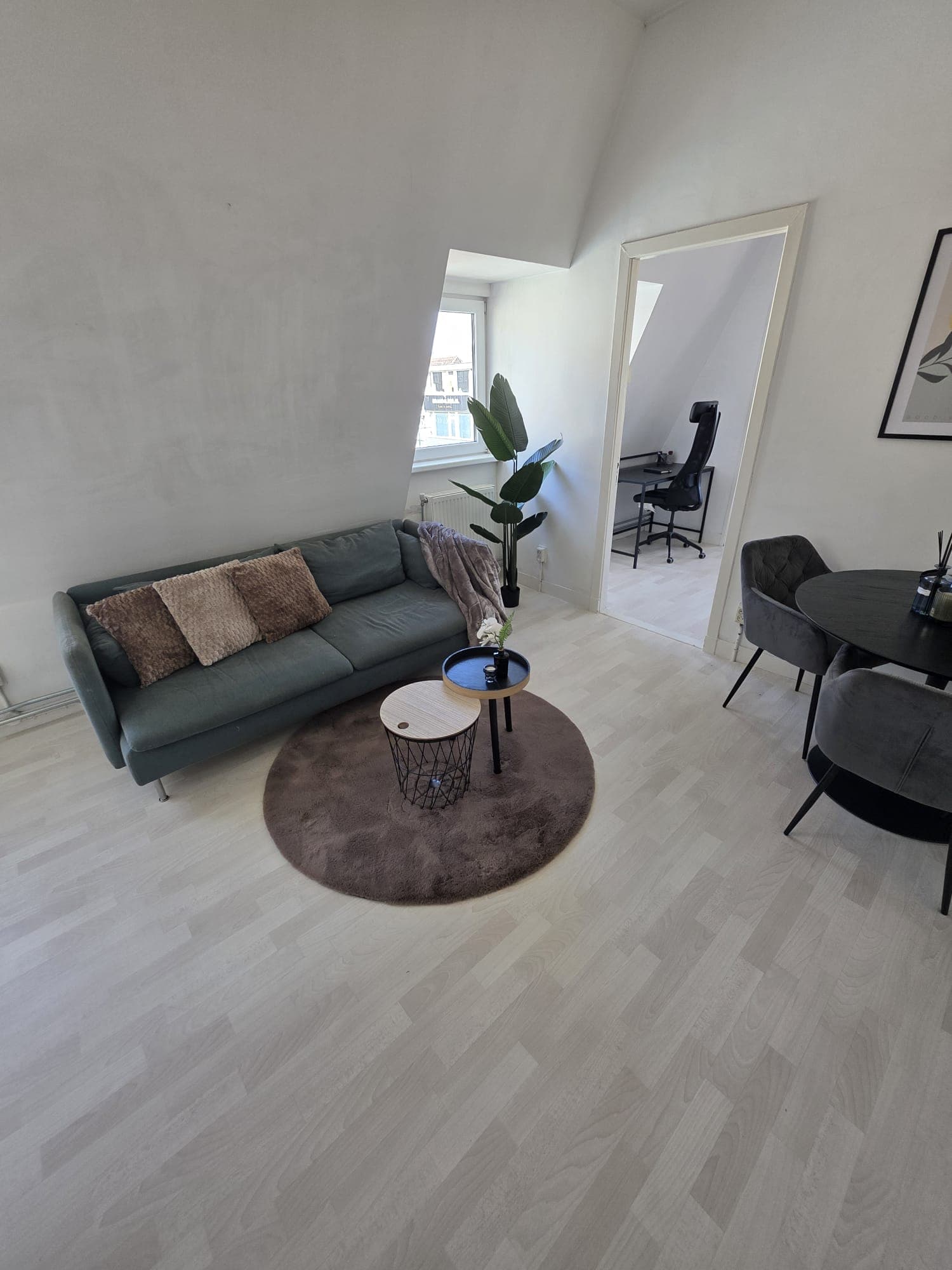 show all photos of Amsterdamsestraatweg