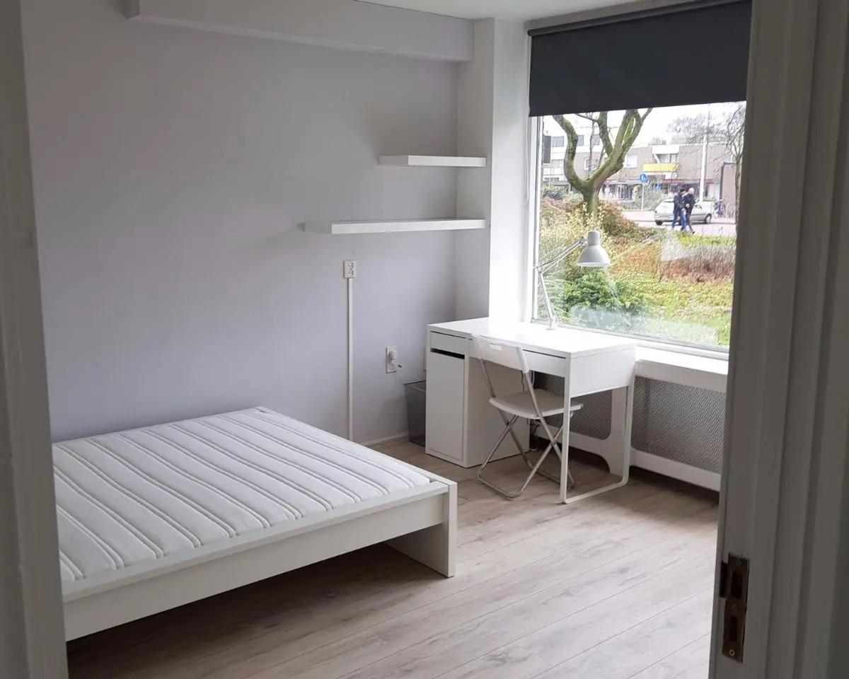 show all photos of Michaelplein