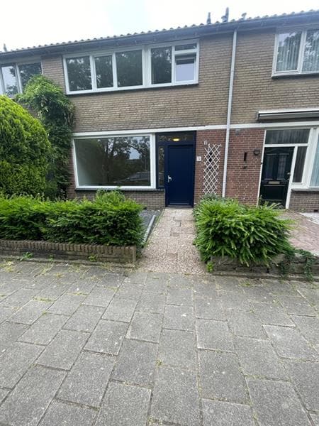 show all photos of Kardinaal de Jongsingel