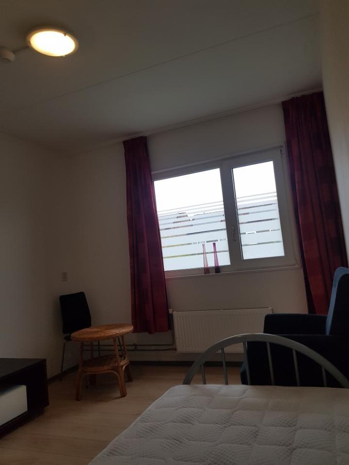 show all photos of Huismus