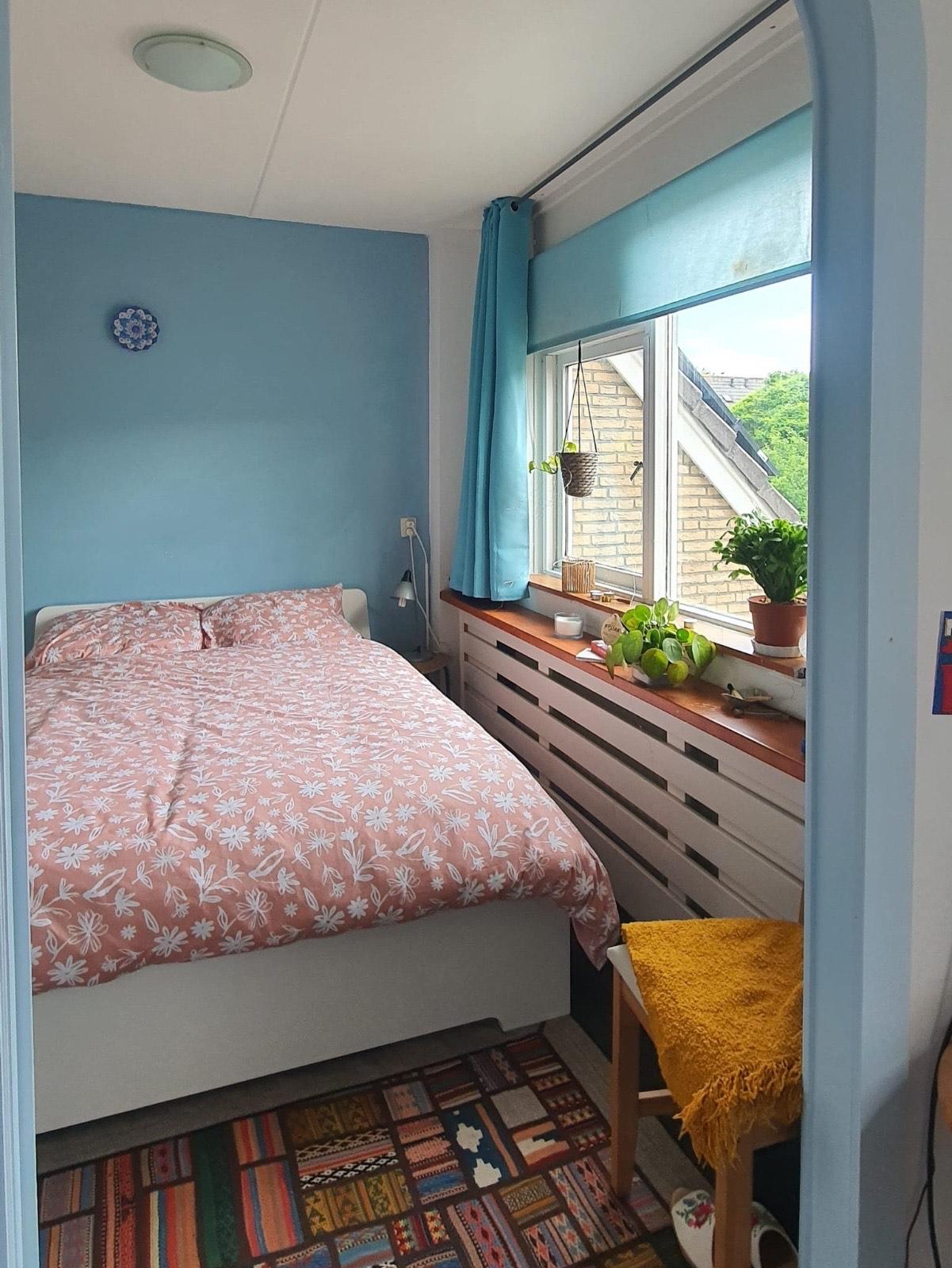 show all photos of Jarasingel