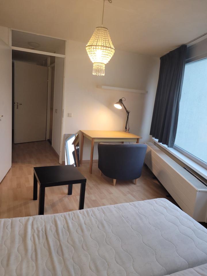 show all photos of Brede Hilledijk