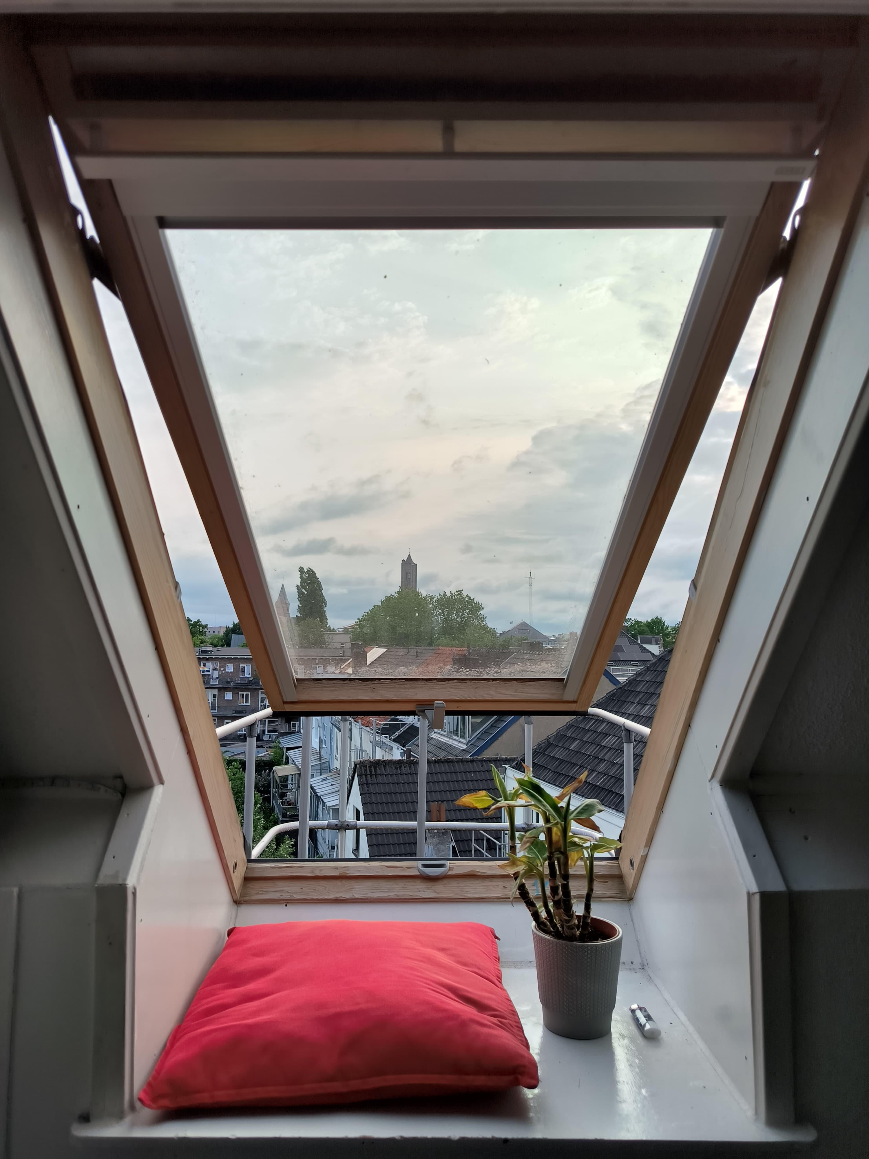 show all photos of Kastanjelaan