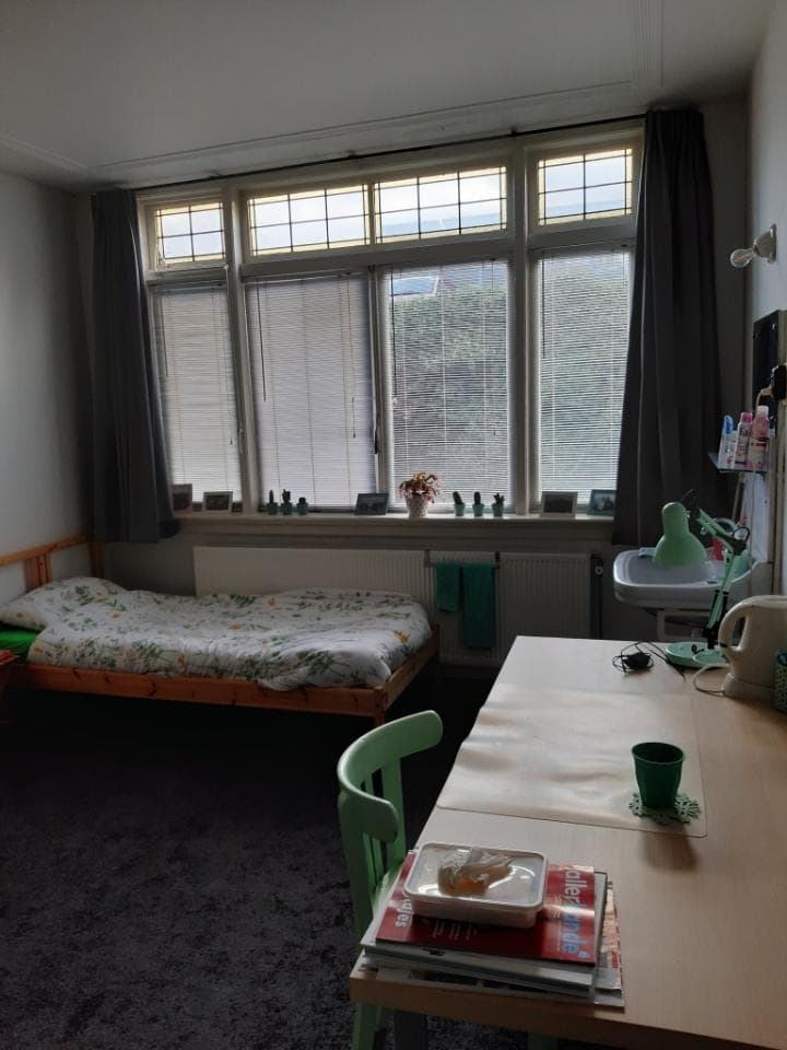 show all photos of Oostzeedijk