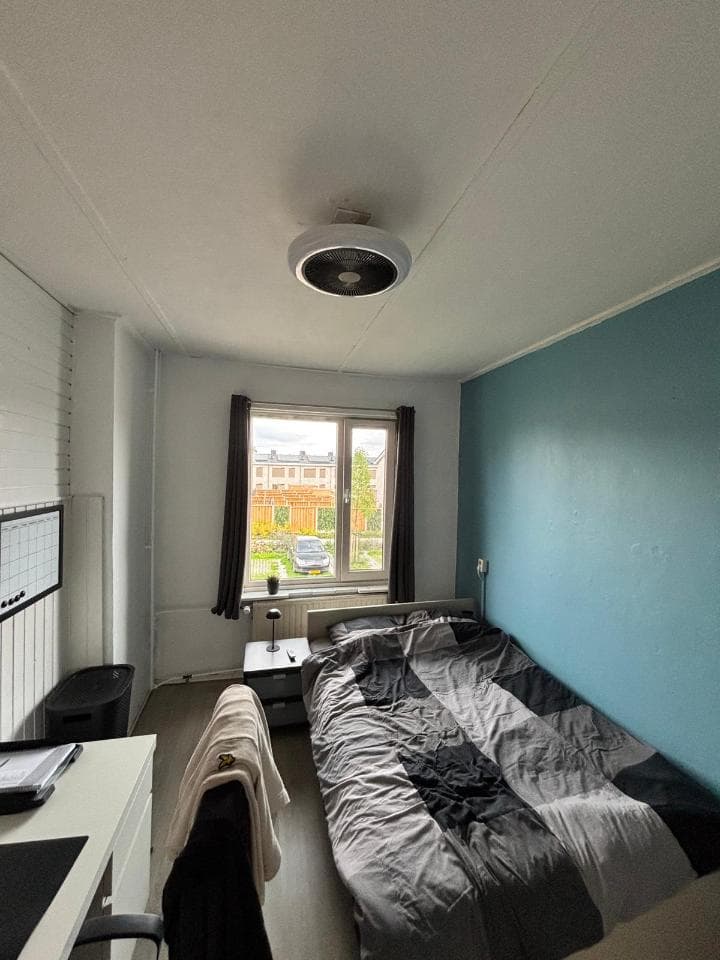 show all photos of Ruischenborchstraat