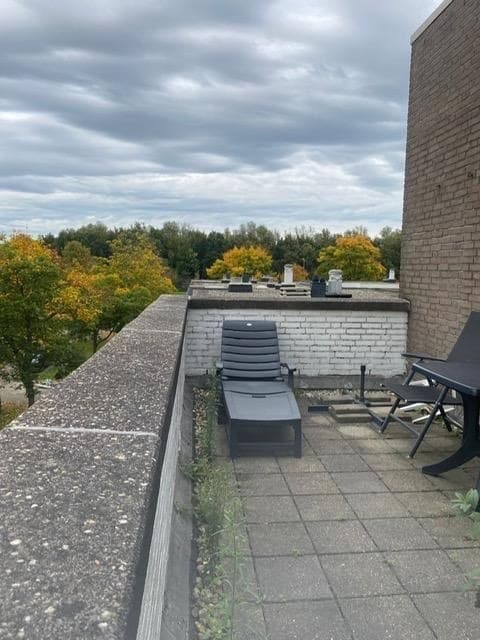 show all photos of Wamelstraat