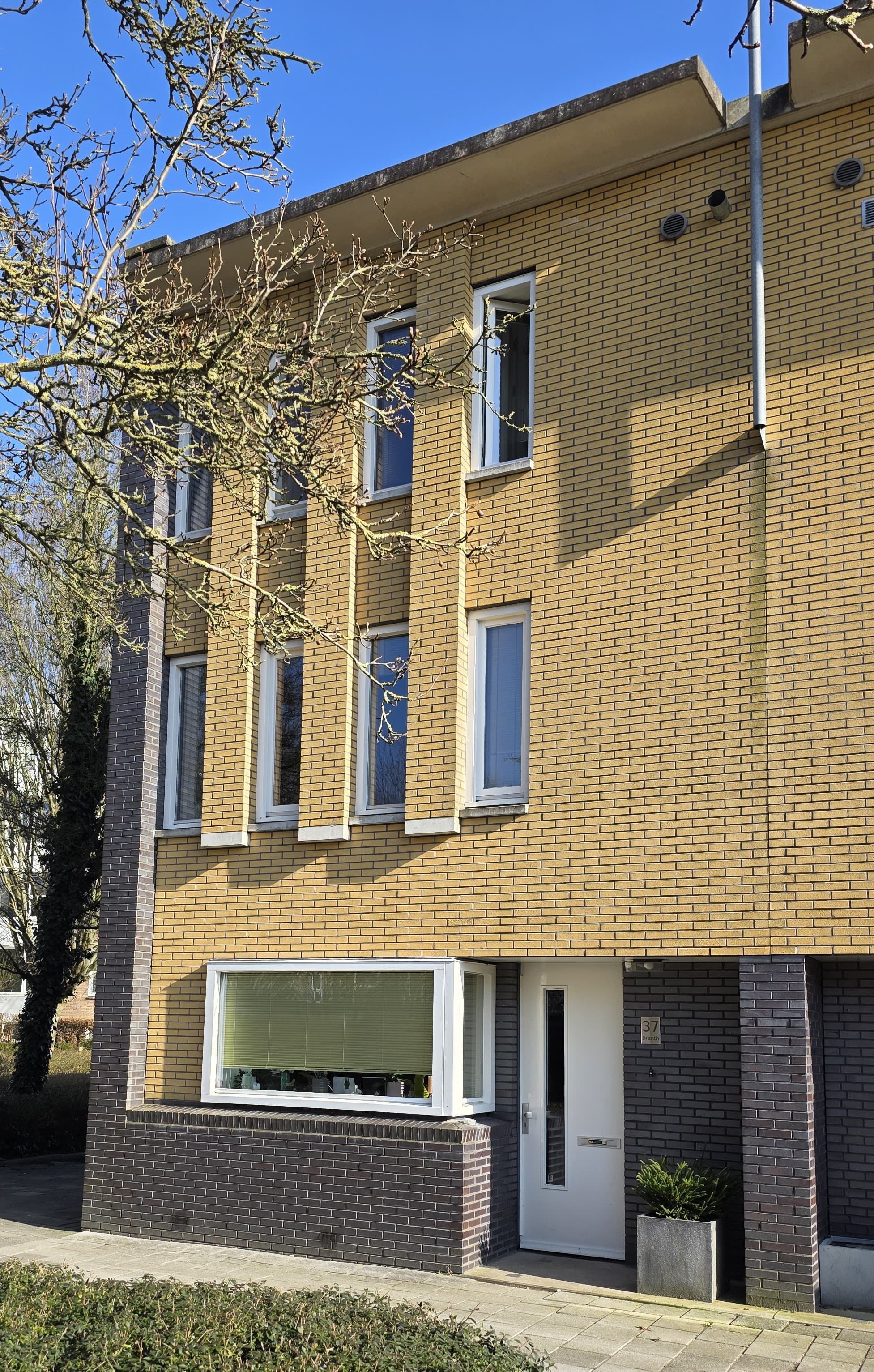 show all photos of Marowijnestraat