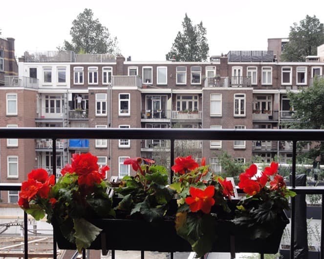 show all photos of Overamstelstraat