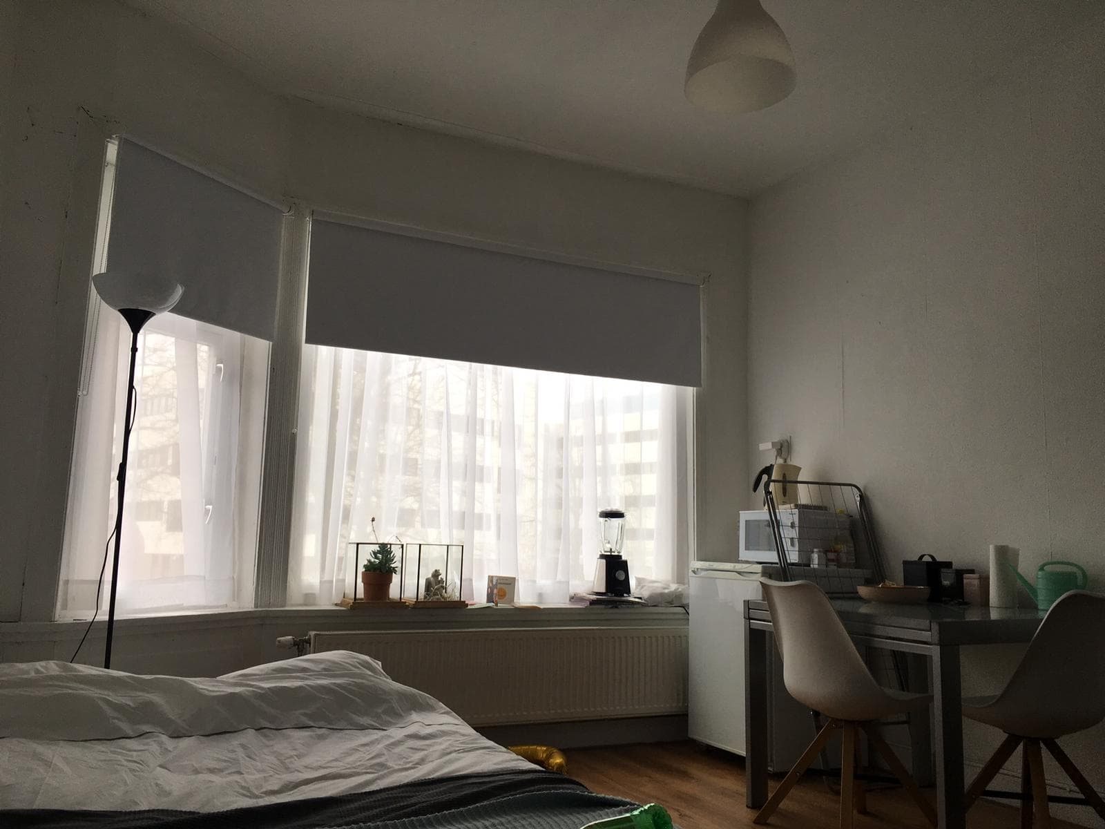 show all photos of Petrus Campersingel